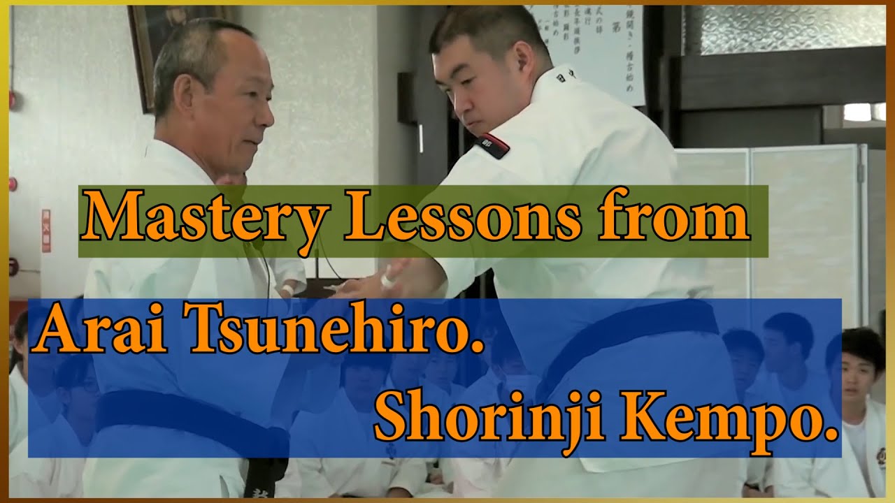 Mastery Lessons from Arai Tsunehiro. Shorinji Kempo. 少林寺拳法. 武道少林寺拳法