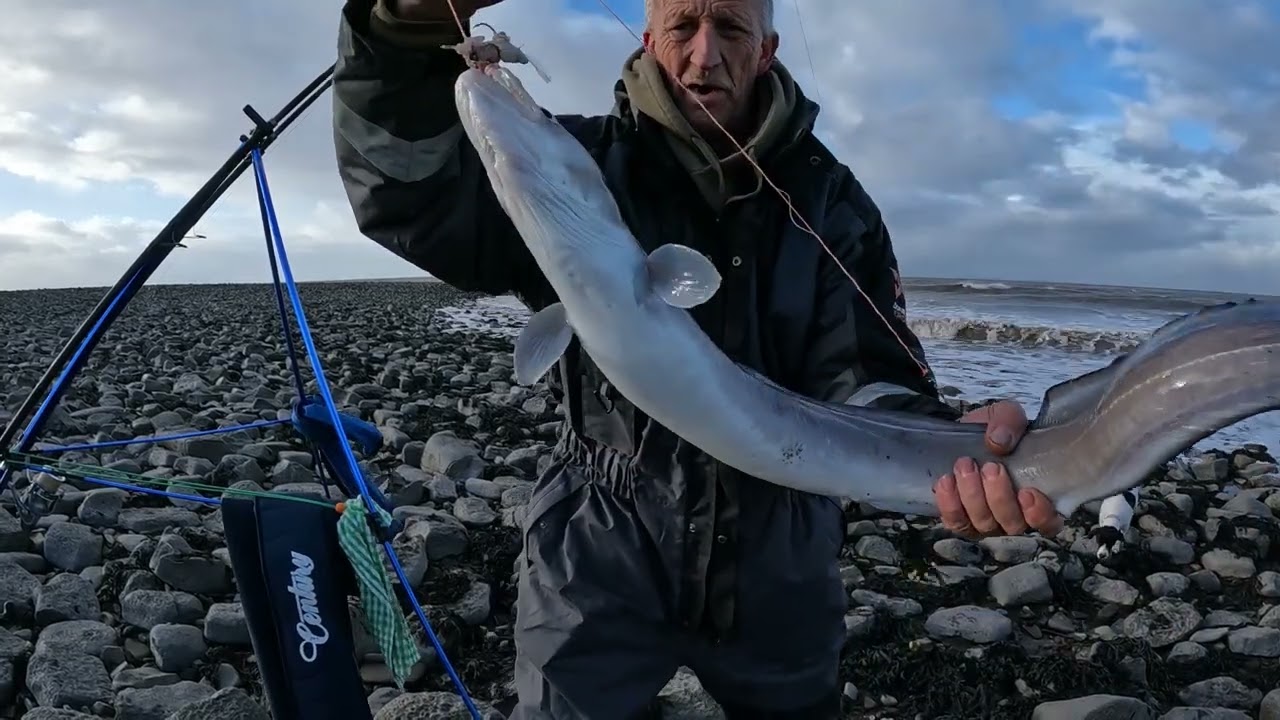 ГДЕ РЫБА? ЛИЛСТОК 24 10 25....#морскаярыбалкавВеликобритании #рыбалканапляжномморе #bristolchannel