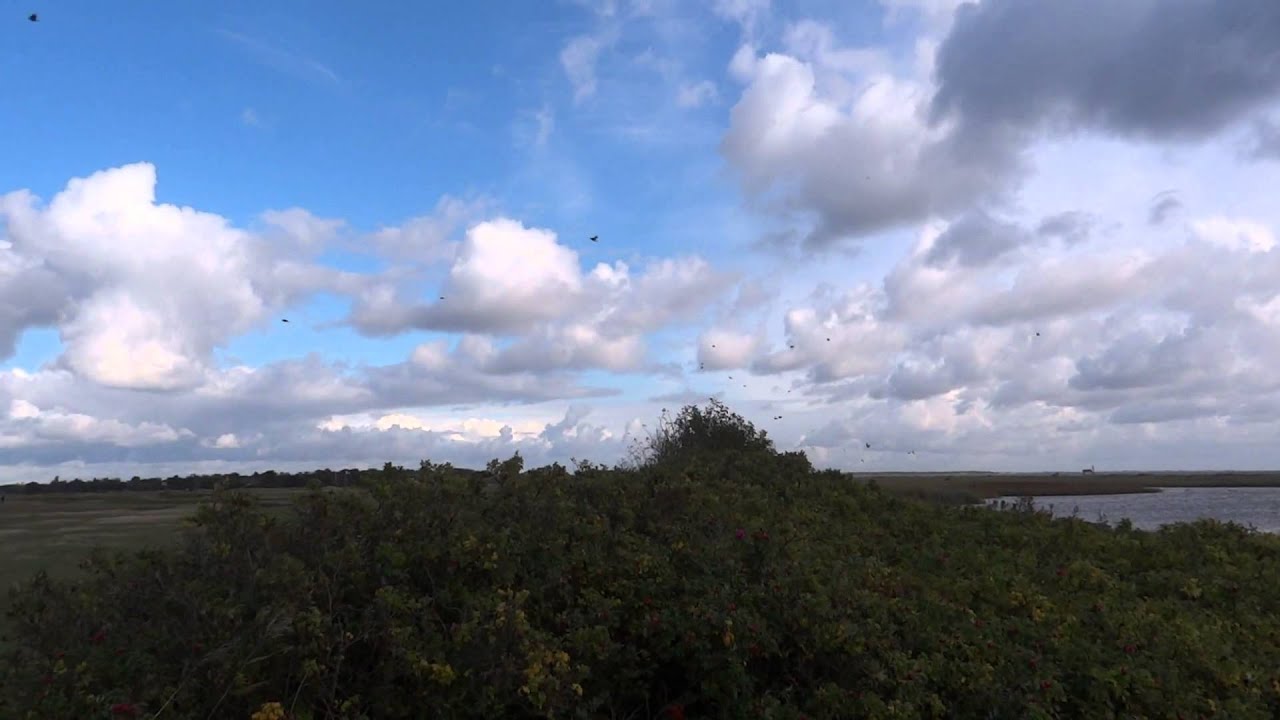 Falsterbo trek