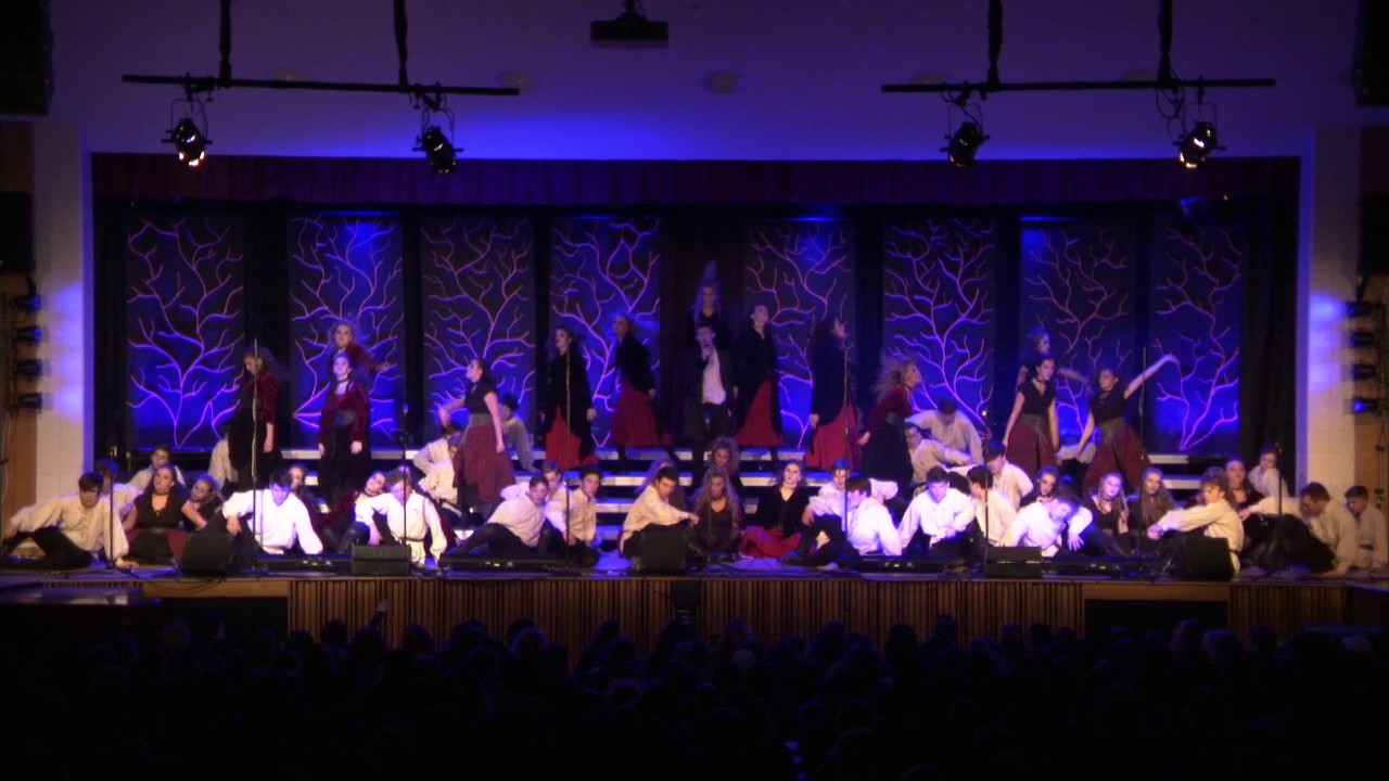 Shepherd Hill DHHS VIBE 2017