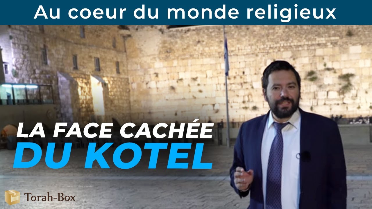 Au cœur du monde juif religieux : LA FACE CACHÉE DU KOTEL, tôt le matin