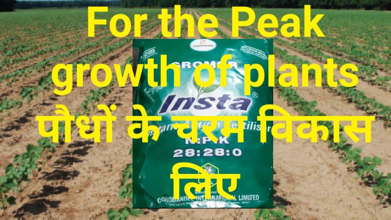 insta 28.28.0/पौधे की बढ़वार के लिए
