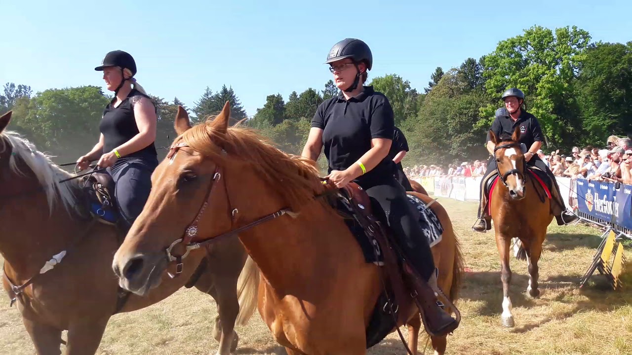 PferdeStark 2019 Große Kaltblutquadrille