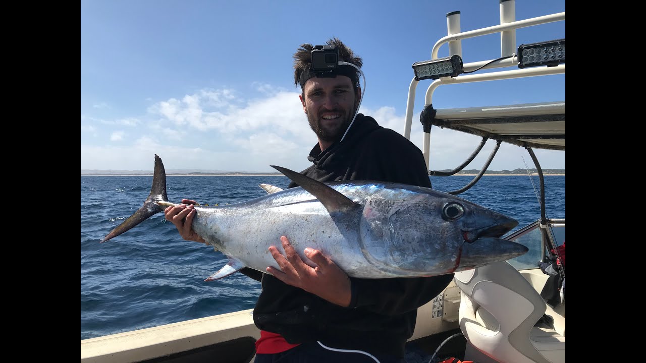 Bluefin Tuna MADNESS at Phillip Island