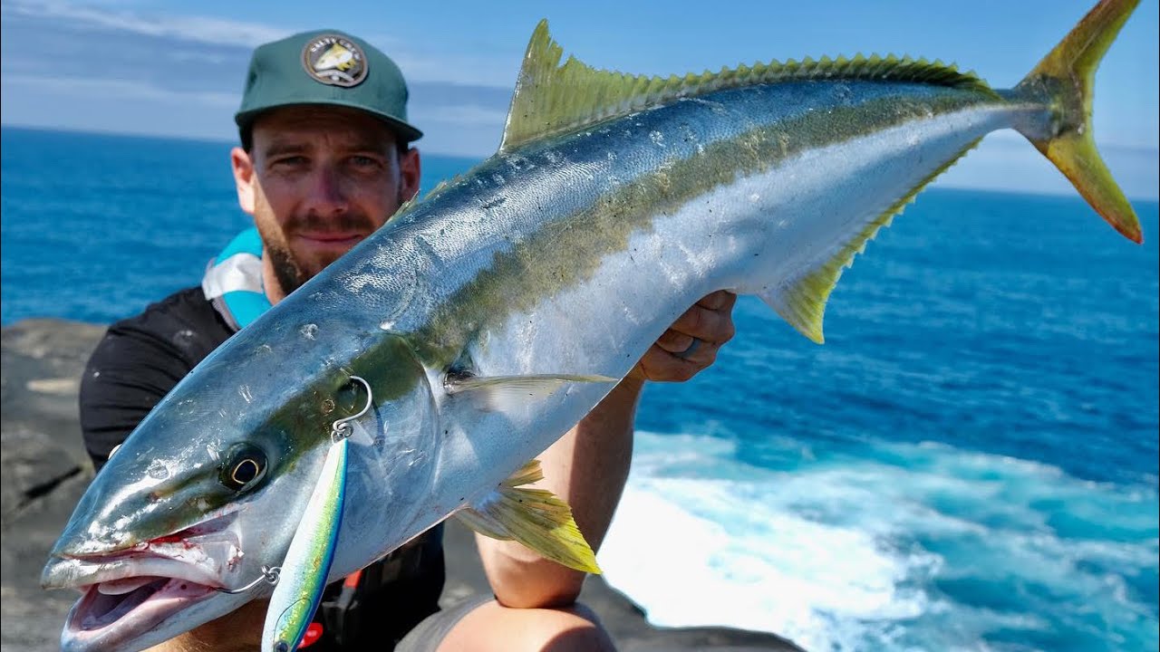 CLIFF FISHING for KINGFISH