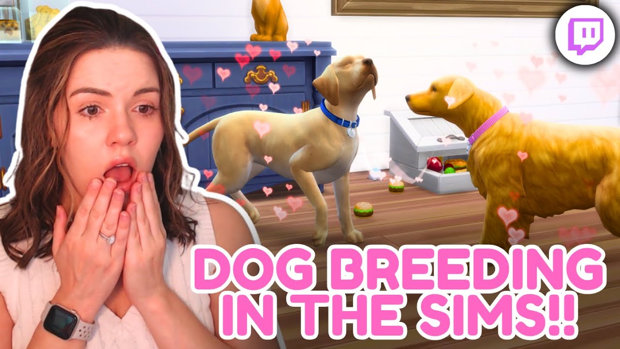 How Much Money Can You Make Breeding Dogs in The Sims 4? {streamed 8/28/2025}