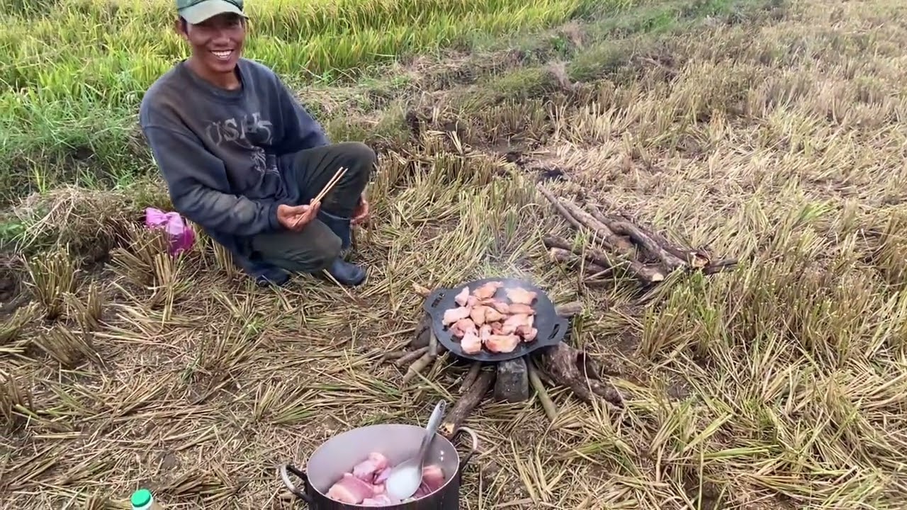 Đến ngày thu hoạch lúa đồng Xuân 