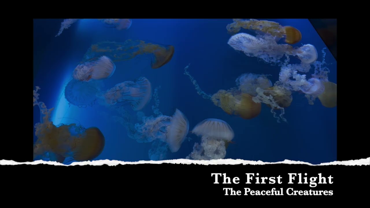 The Peaceful Creatures - The First Flight