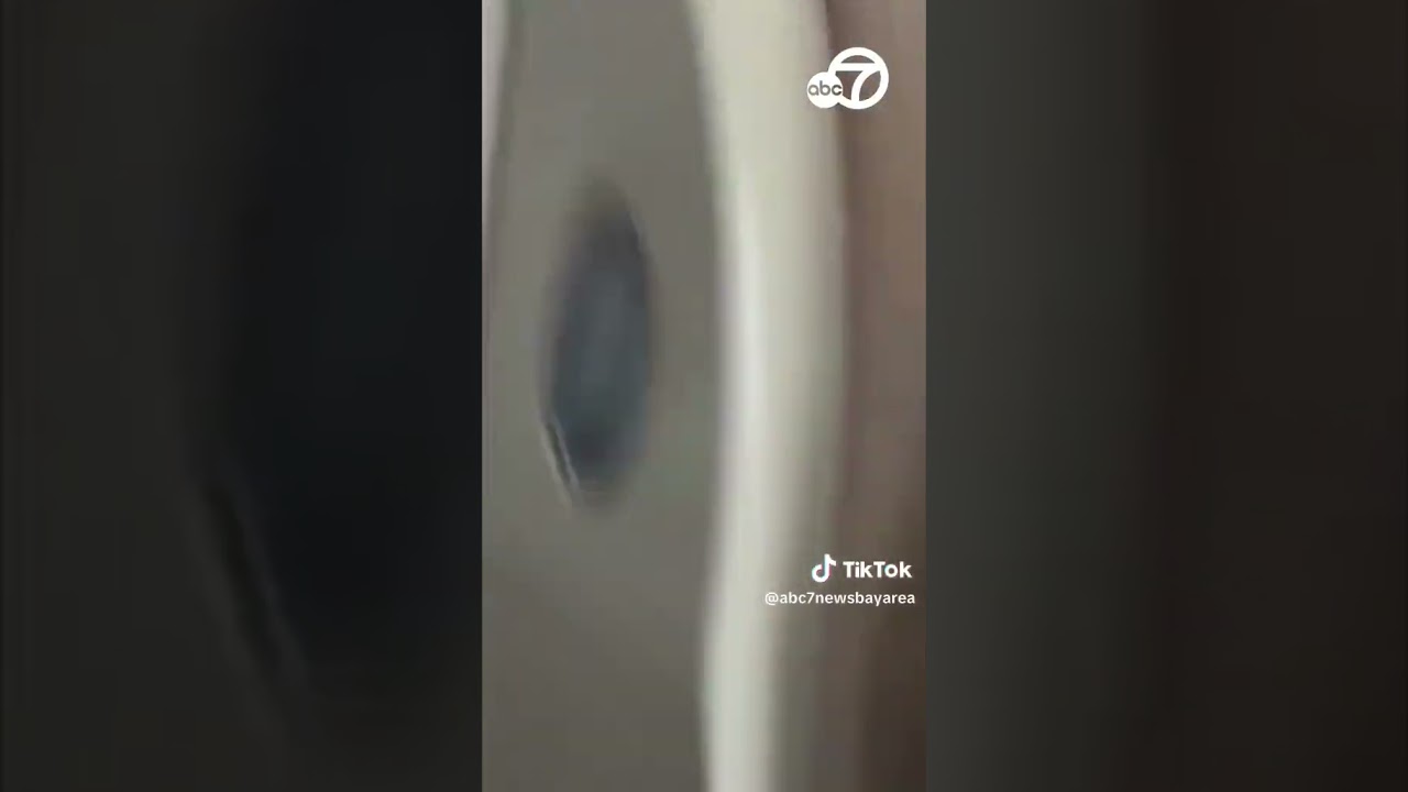 Passenger opens plane emergency exit mid-flight