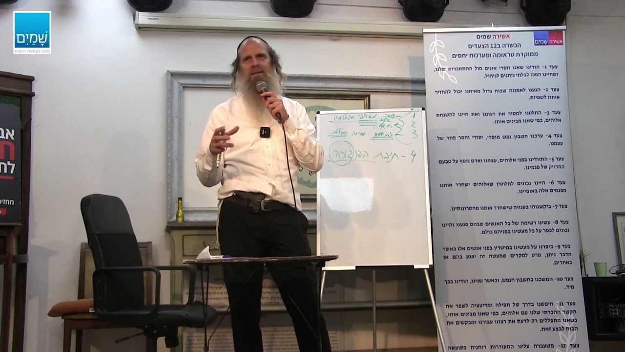 הכשרה 12 צעדים תל אביב 8  מפגש 6 רוני אילון  מטוטלת ההחלמה  -  משאבים והפעלה, ומבוא ל IFS