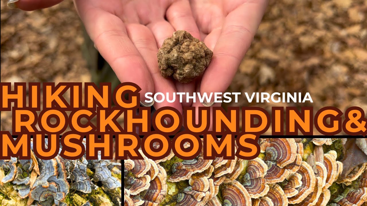 Hiking, Rockhounding & Geode Cutting in Southwest Virginia! (Plus So Many Mushrooms!)