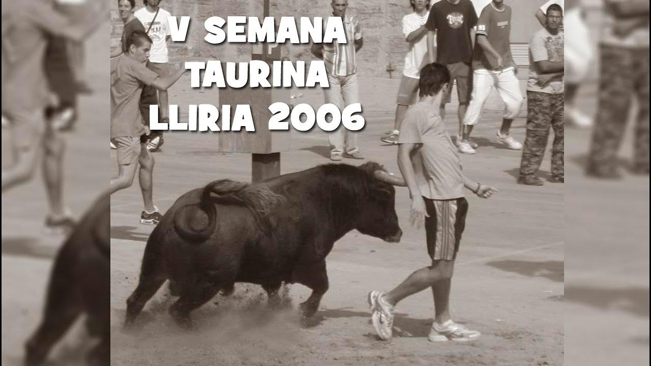 LLIRIA 2006 - V SEMANA TAURINA 2006 ➤ TOROS CERRILES, TOROS EMBOLADOS Y VACAS