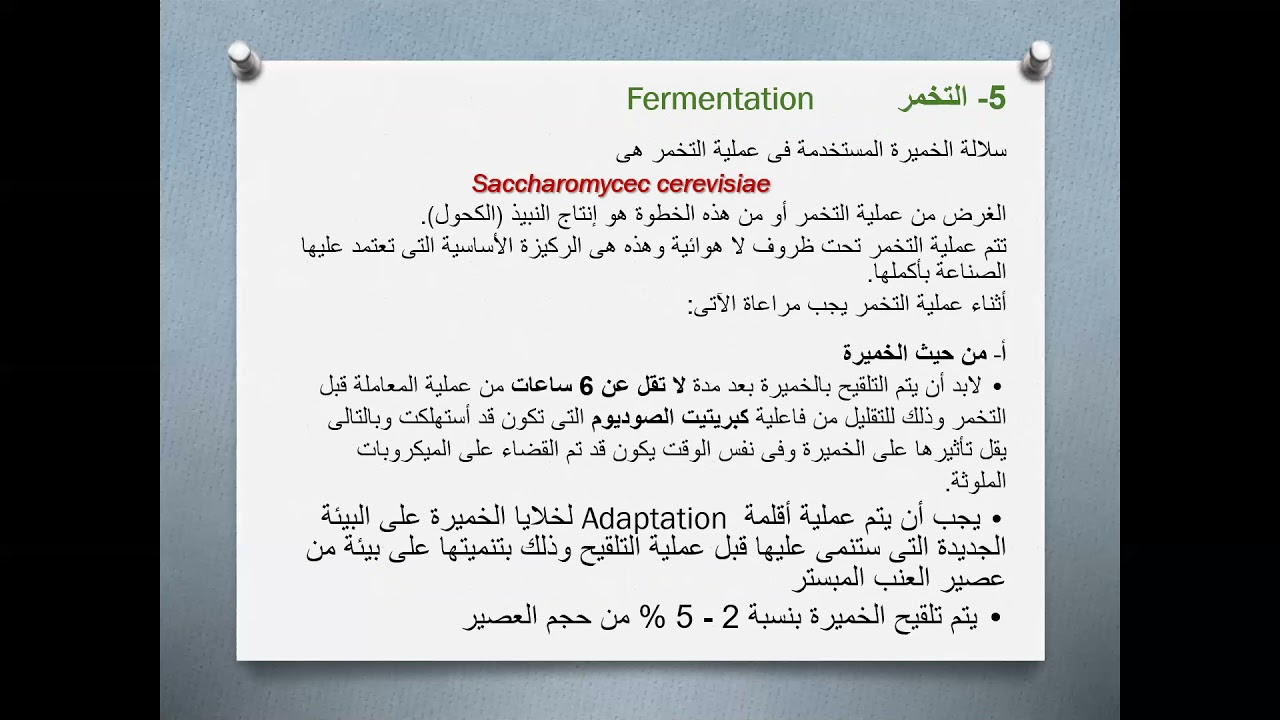انتاج النبيذ