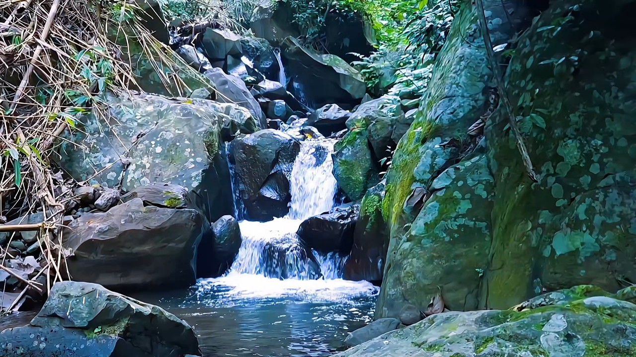 Gentle River Sounds for Evening Calm
