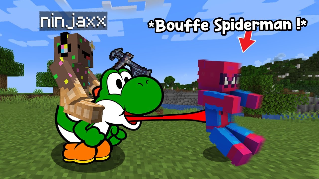 J'ai utilisé des Items de Jeux Vidéo pour finir Minecraft..