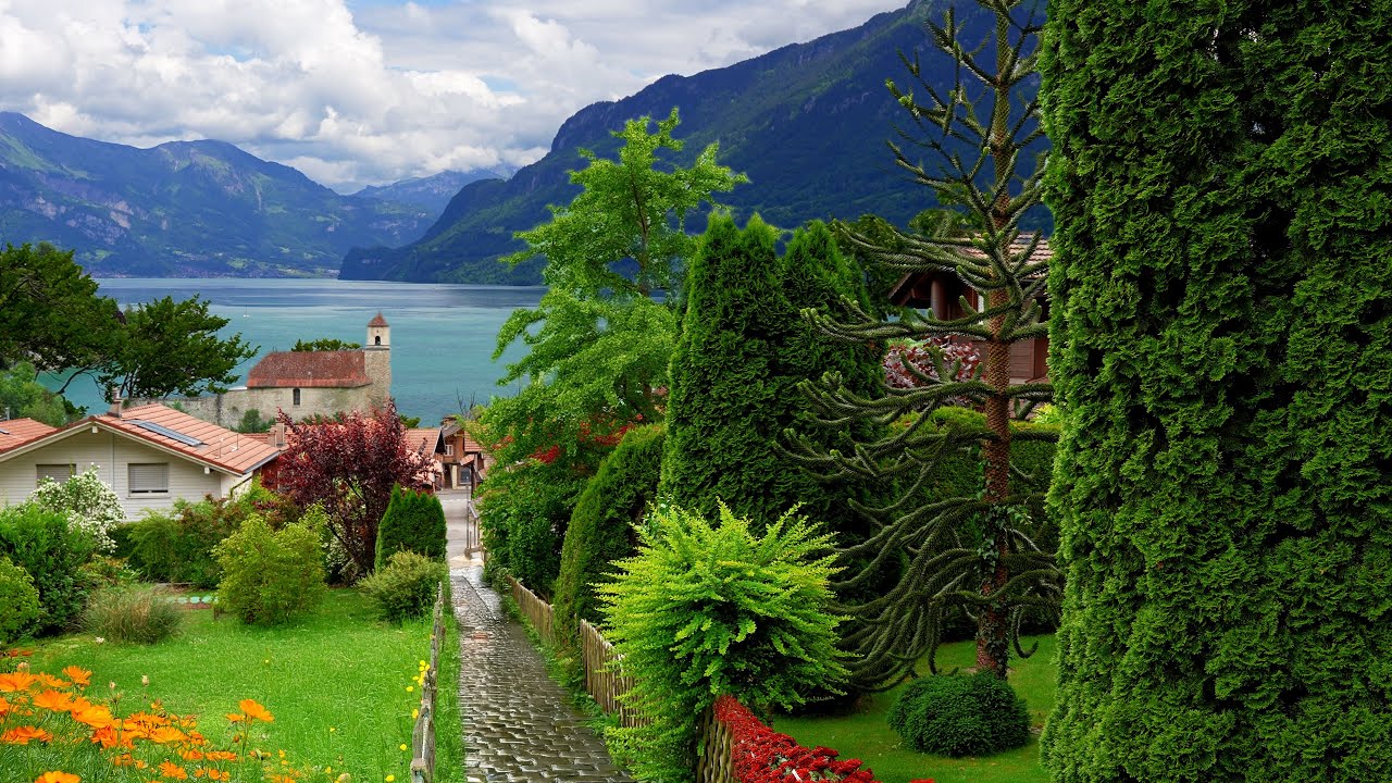 Switzerland 🇨🇭 Ringgenberg: A Scenic Walk Through a Rolling Landscape