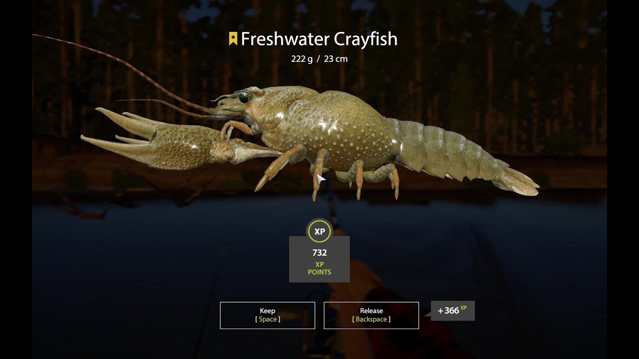 Russian Fishing 4 - Freshwater Crayfish Trophy 222g - Winding Rivulet