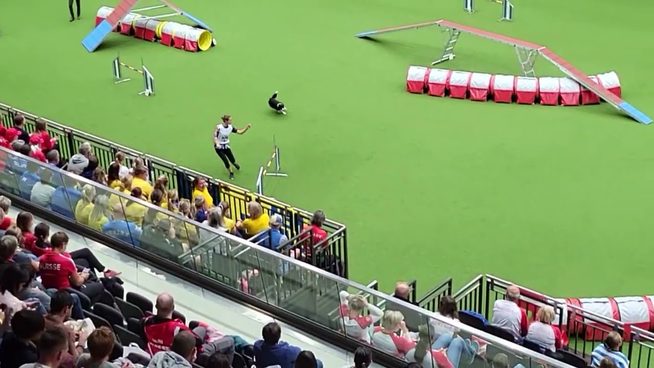 GREAT BRITAIN Team Agility Large FCI AWC 2022