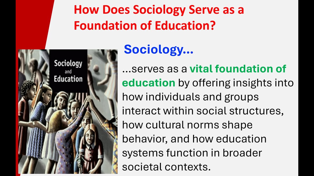 Как социология служит основой образования