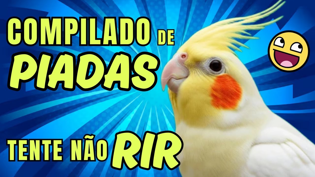 😃CALOPSITAS - VÍDEO DIVERTIDO #memes #calopsita