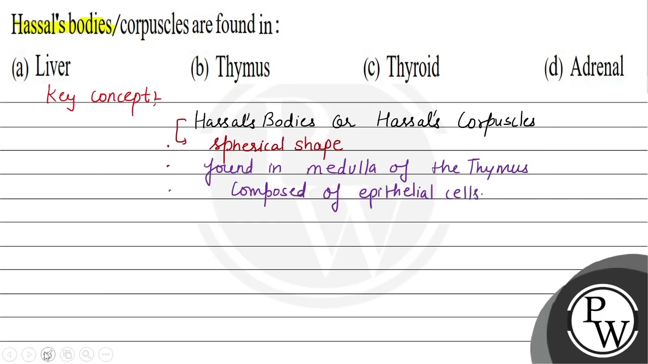 Hassal's bodies/corpuscles are found in: (a) Liver (b) Thymus (c) T...