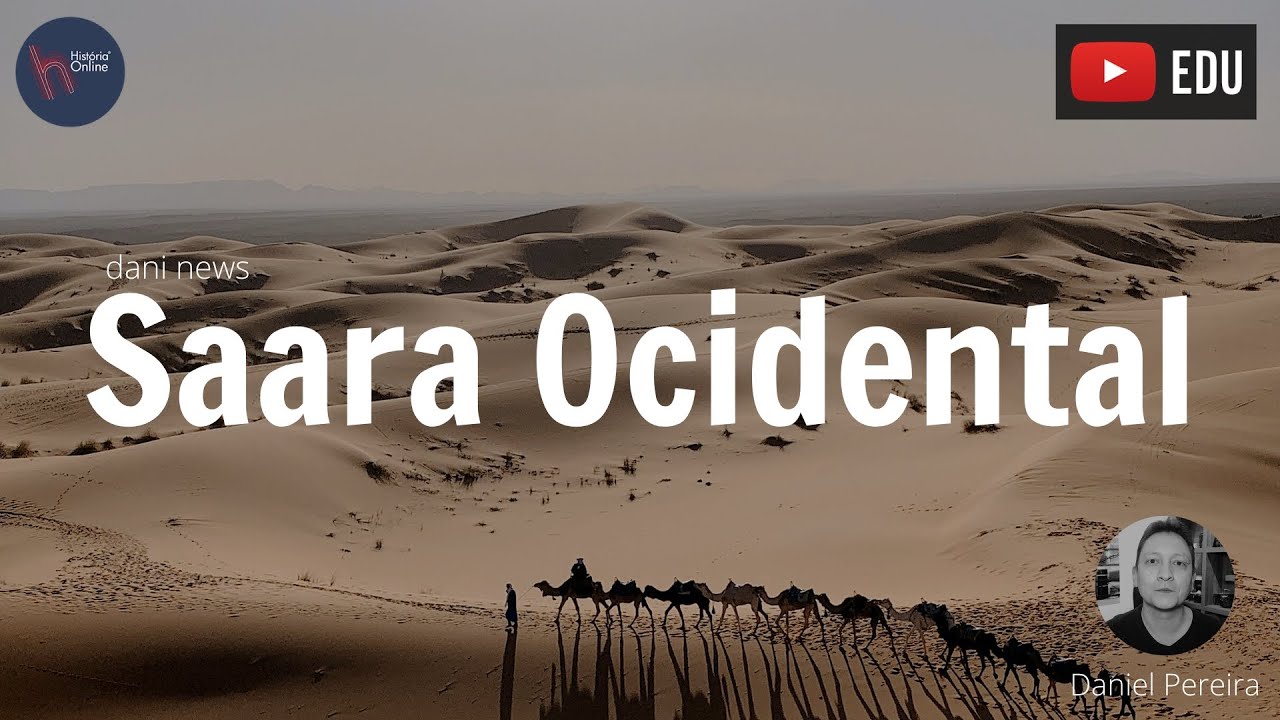 Saara Ocidental: um conflito esquecido (Dani News - 01/07/2020)
