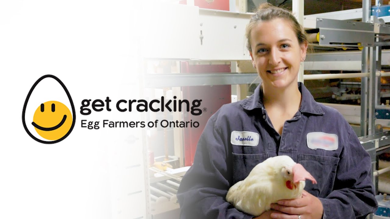 EGG FARMERS of ONTARIO - Fields to Forks