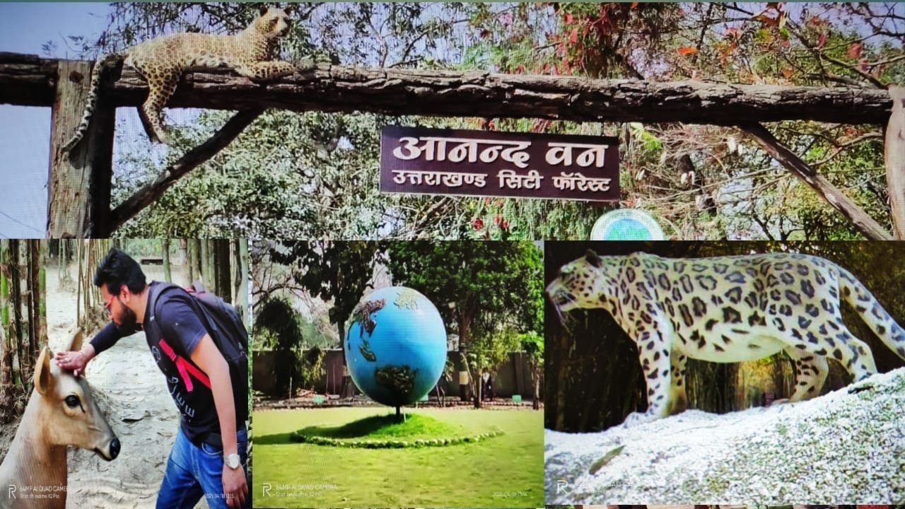 Anand Van//New City Park//Uttarakhand City Forest//Dehradun