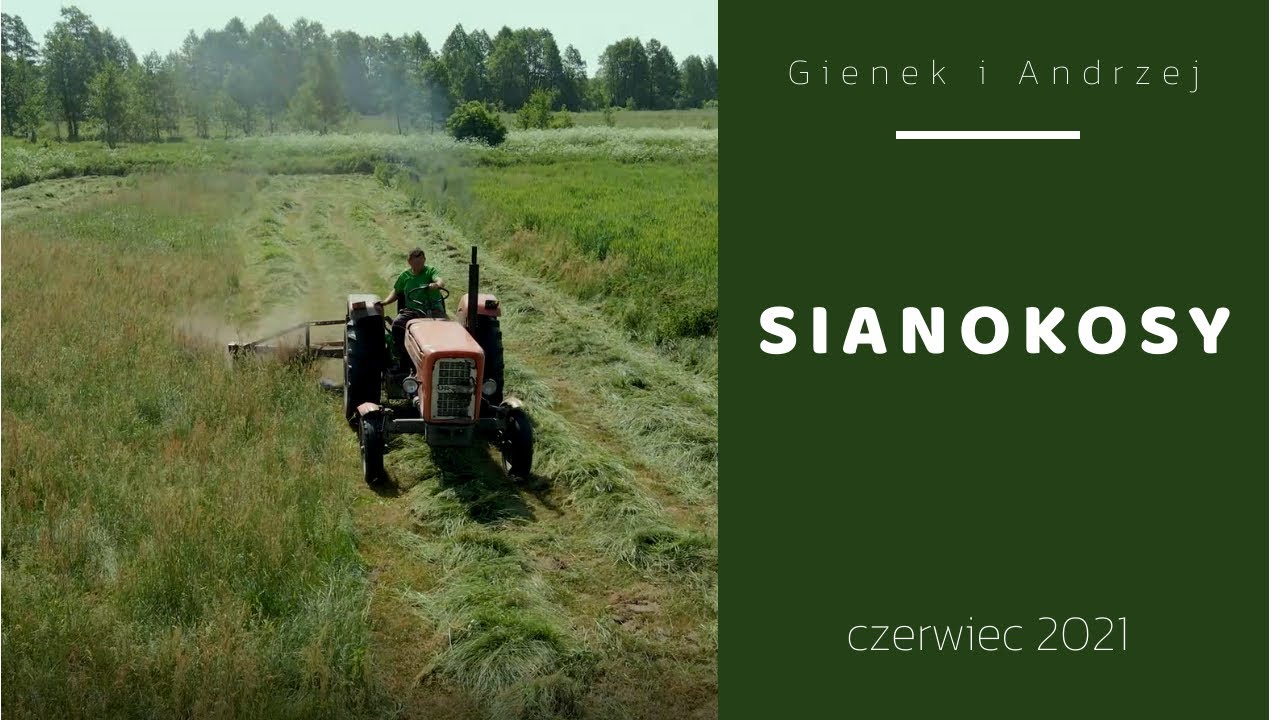 Sianokosy u Andrzeja i Gienka w Plutyczach