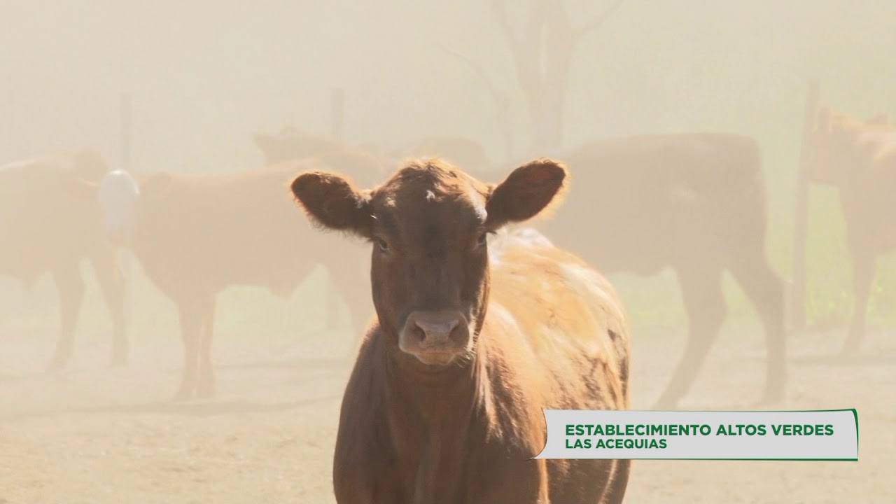 Córdoba Agroecológica 07: Altos Verdes (Las Acequias)