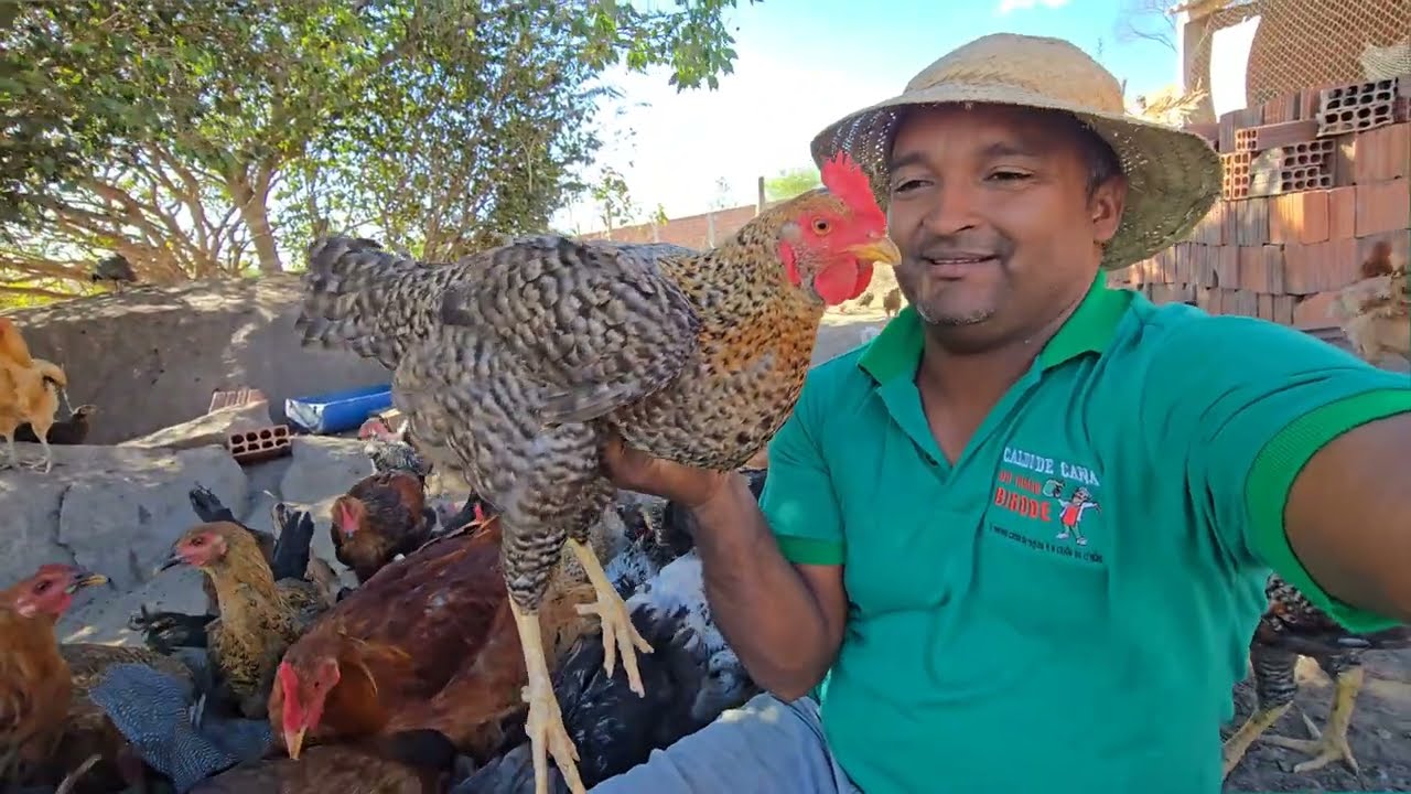 DESPEDIDA DO SÍTIO AS GALINHAS FORAM VENDIDAS PRA INVESTIR EM OUTRO PROJETO