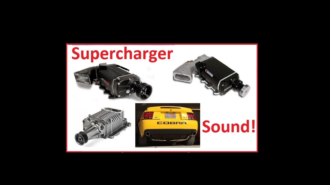 Terminator Cobra Supercharger whine compilation. Eaton, Whipple, Kenne Bell Raw sound SVT Cobra!