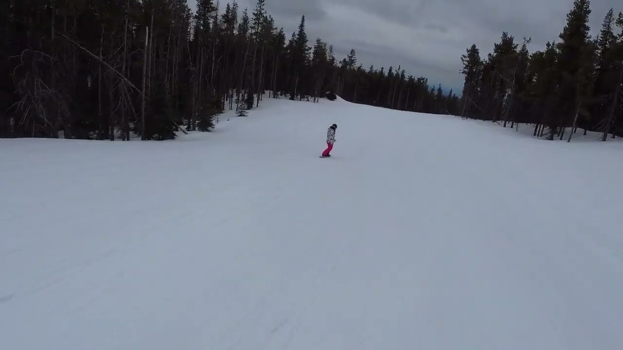Baldy Mountain - Papillon