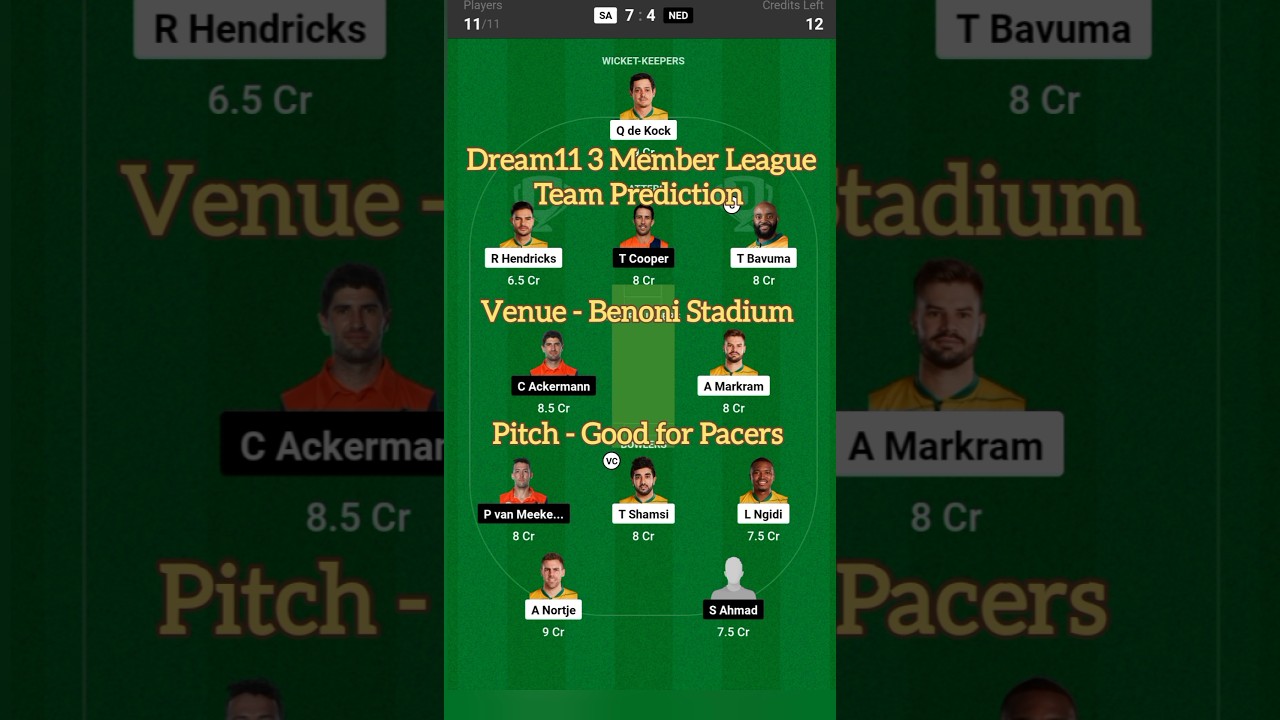SA vs NED Dream11 Team Prediction for Small League Contests