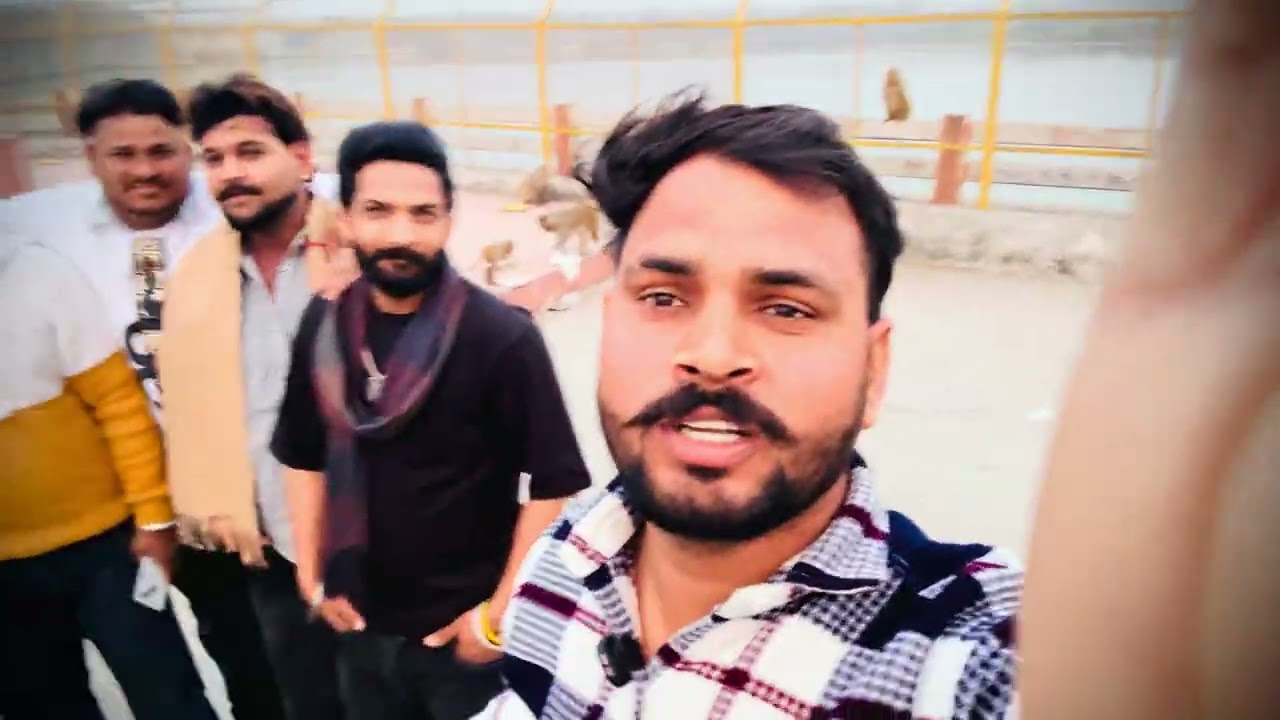 11 February 2026