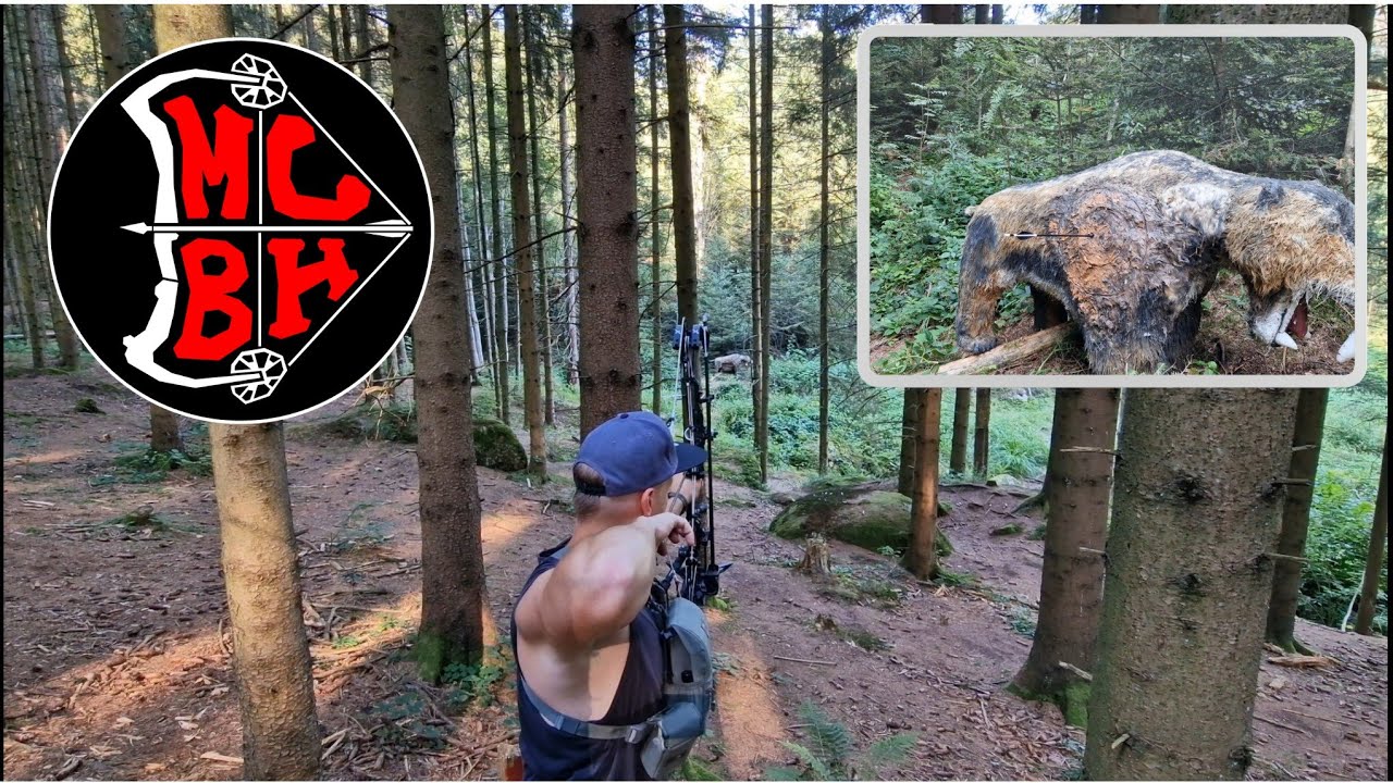 3D Archery Bogenschießen am Parcours des BSW - Slow Motion
