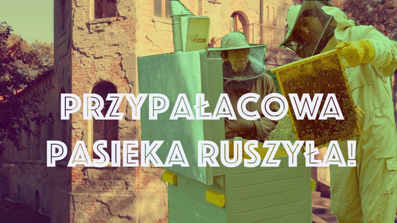 Pasieka w zabytkowym parku | Stawiam pierwsze ule