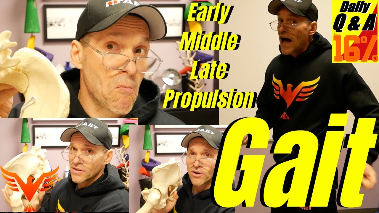Q & A for The 16% - Early, Mid, and Late Propulsion of the Gait Cycle