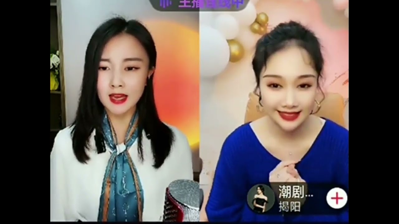 潮剧《赵少卿·承动问我姓名》林洁燕 黄晓婷 演唱 Teochew Opera