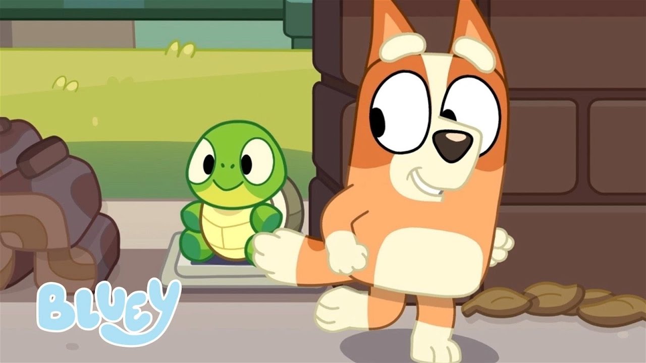 🔴LIVE: Bluey and Bingo's Animal Moments | 1 HOUR+ | Bluey