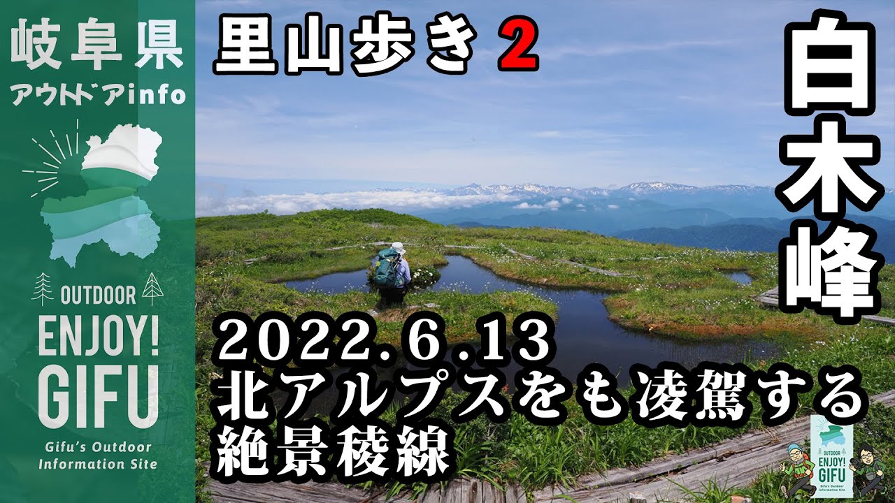 白木峰ー北アルプスをも凌駕する贅沢な稜線歩き！池塘とワタスゲと花の楽園ー[岐阜県の里山歩き２]　エンジョイ！ぎふ　岐阜県非公認アウトドアポータルチャンネル