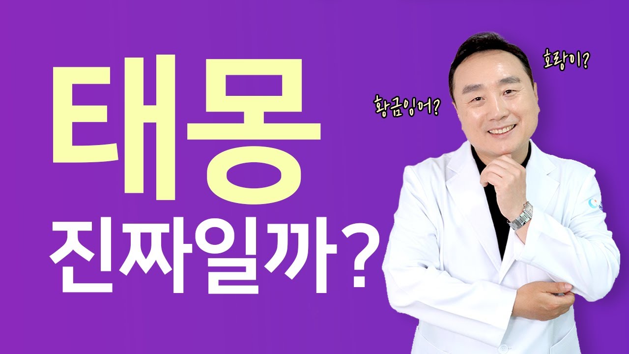 태몽 진짜일까? 수면의학으로 보는 꿈 이야기 [코슬립수면의원]
