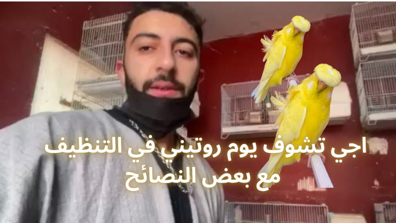 بعض النصائح لناس لتسهل عليك عمليات تنظيف