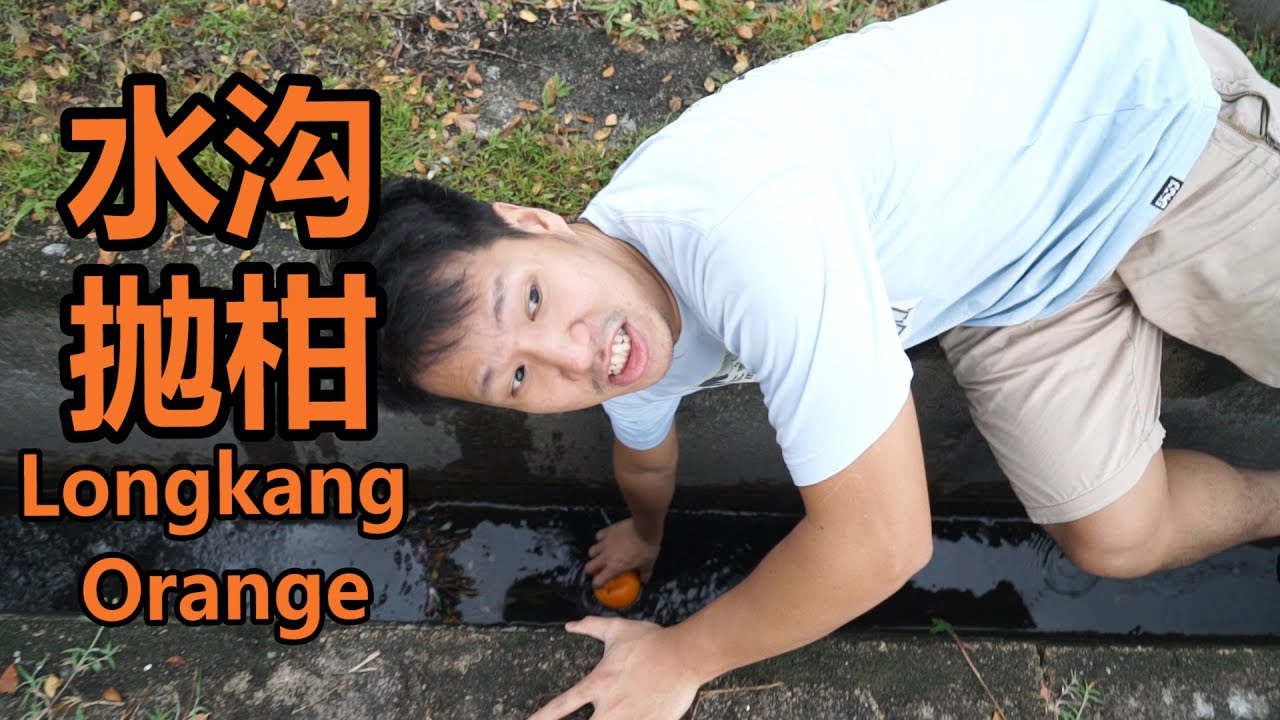 水沟抛柑 LONGKANG ORANGE