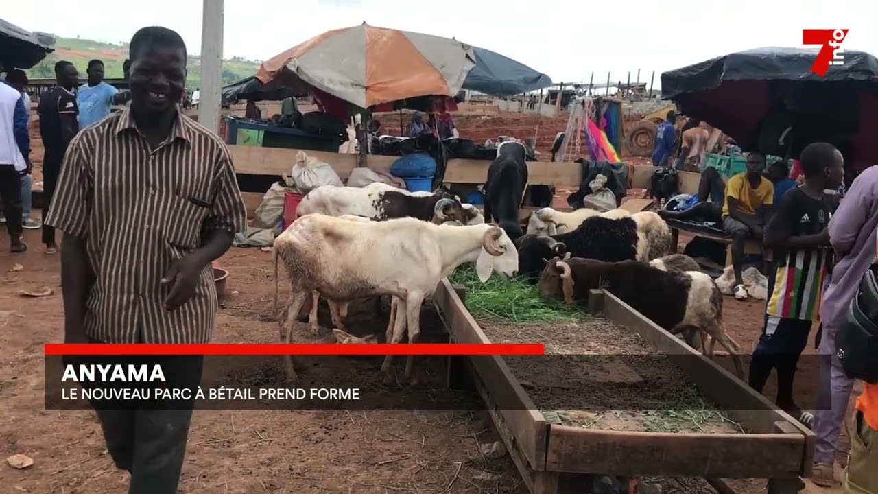 Anyama : le nouveau parc à bétail prend forme