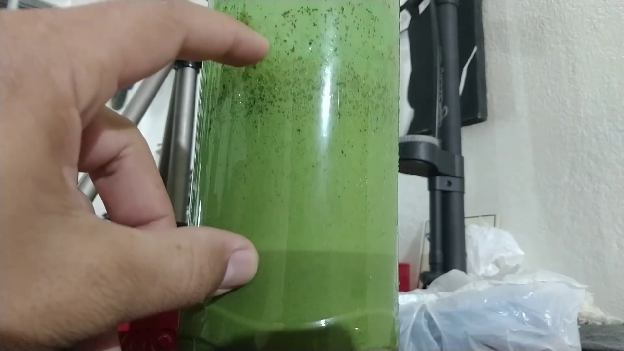 VALE APENA SELANTE CASEIRO PARA BIKE?!
