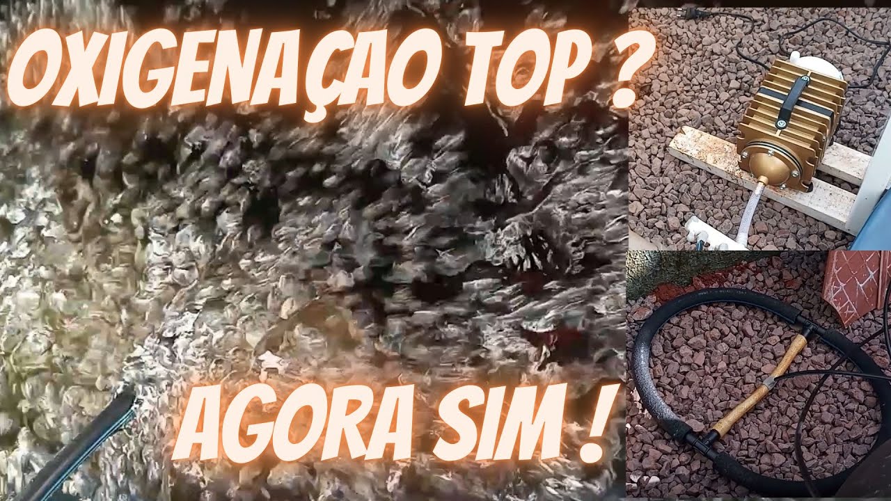 Oxigenação para Peixes (Passo a Passo)
