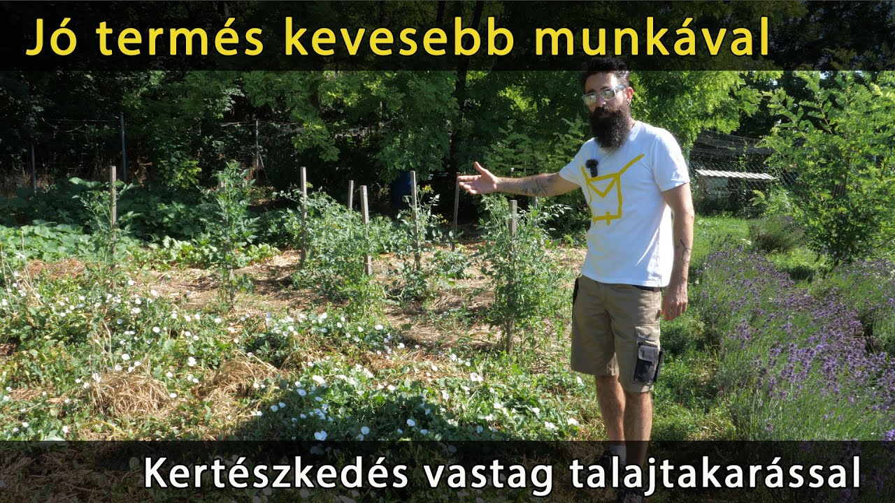 Kertészkedés kiskert kevesebb munkával és kevesebb öntözéssel - mulcsozás, vastag talajtakarás