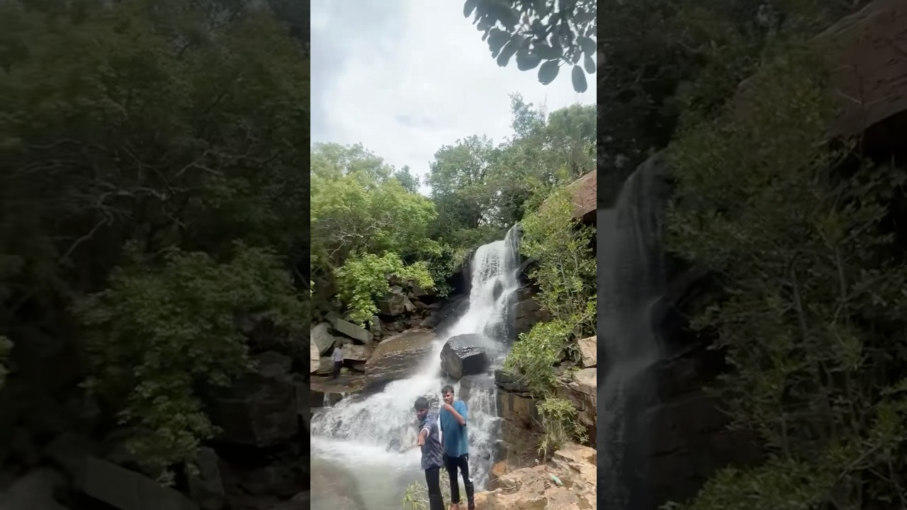 📍Amrabad forest #amrabad #waterfall #nallamallaforest#nature #viral #travel #waterflow #srisailam