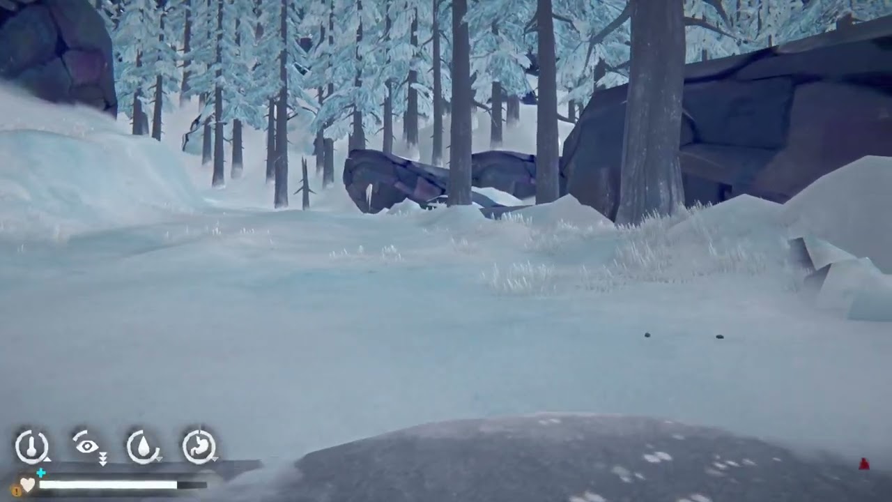 The Long Dark